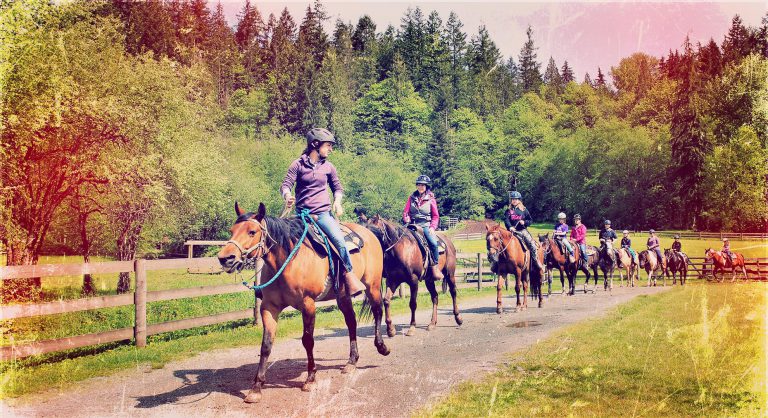 Timberline Ranch - Vancouver's Camp And Retreat Centre